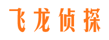 屏山私家调查公司